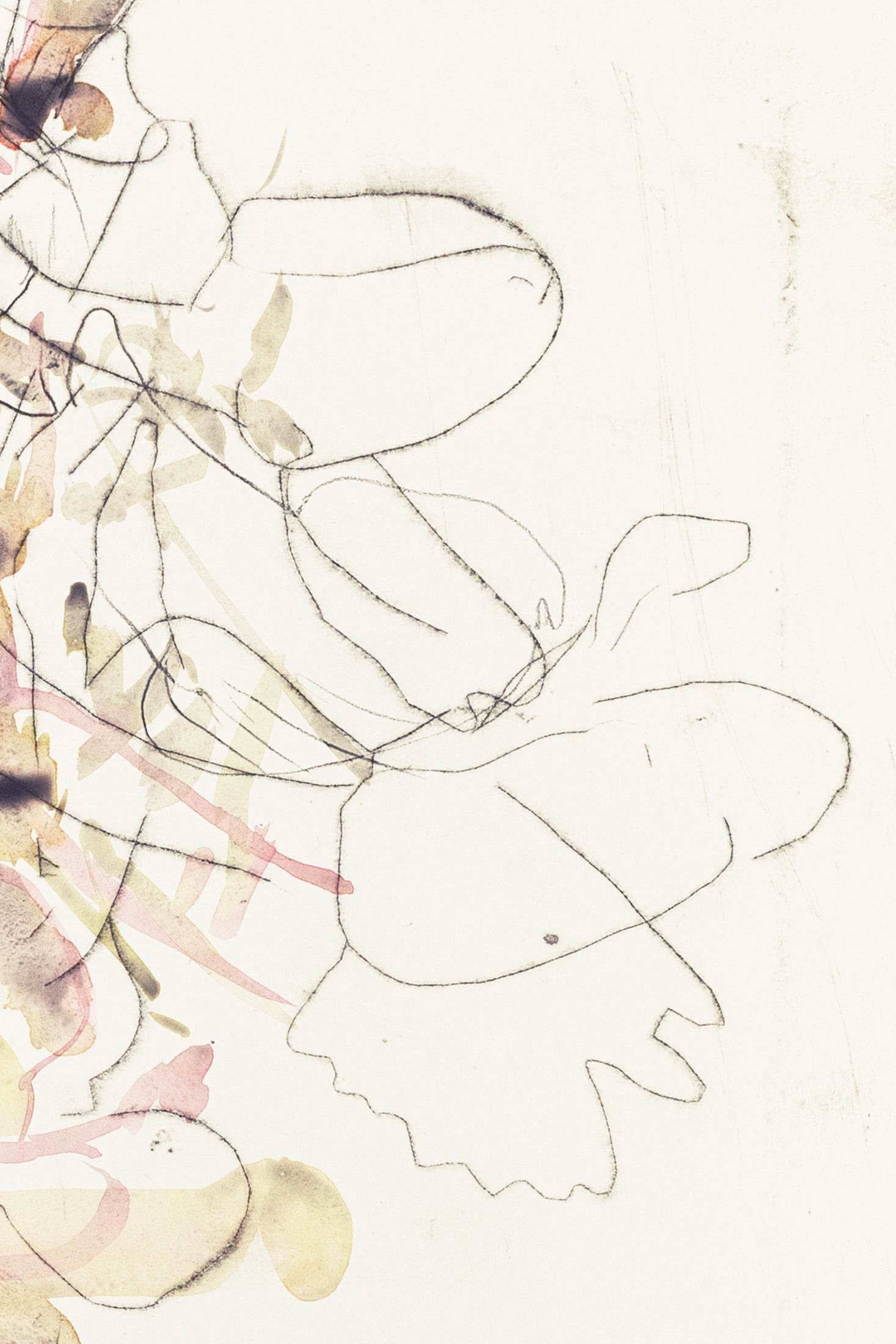 Zarte abstrakte Blumenzeichnung eines Knabenkrauts in Hellrosa, Ocker und Grau auf hellem Hintergrund, kombiniert mit feinen Linien und transparenten Farbschichten – delicate abstract floral drawing of a marsh orchid in light pink, ochre and grey on a bright background, combining fine lines with translucent color layers.