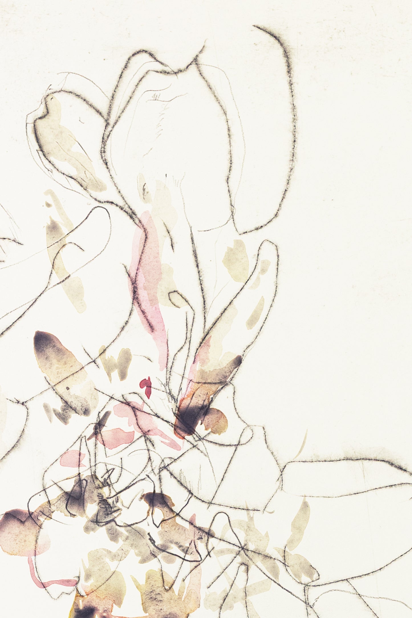 Zarte abstrakte Blumenzeichnung eines Knabenkrauts in Hellrosa, Ocker und Grau auf hellem Hintergrund, kombiniert mit feinen Linien und transparenten Farbschichten – delicate abstract floral drawing of a marsh orchid in light pink, ochre and grey on a bright background, combining fine lines with translucent color layers.