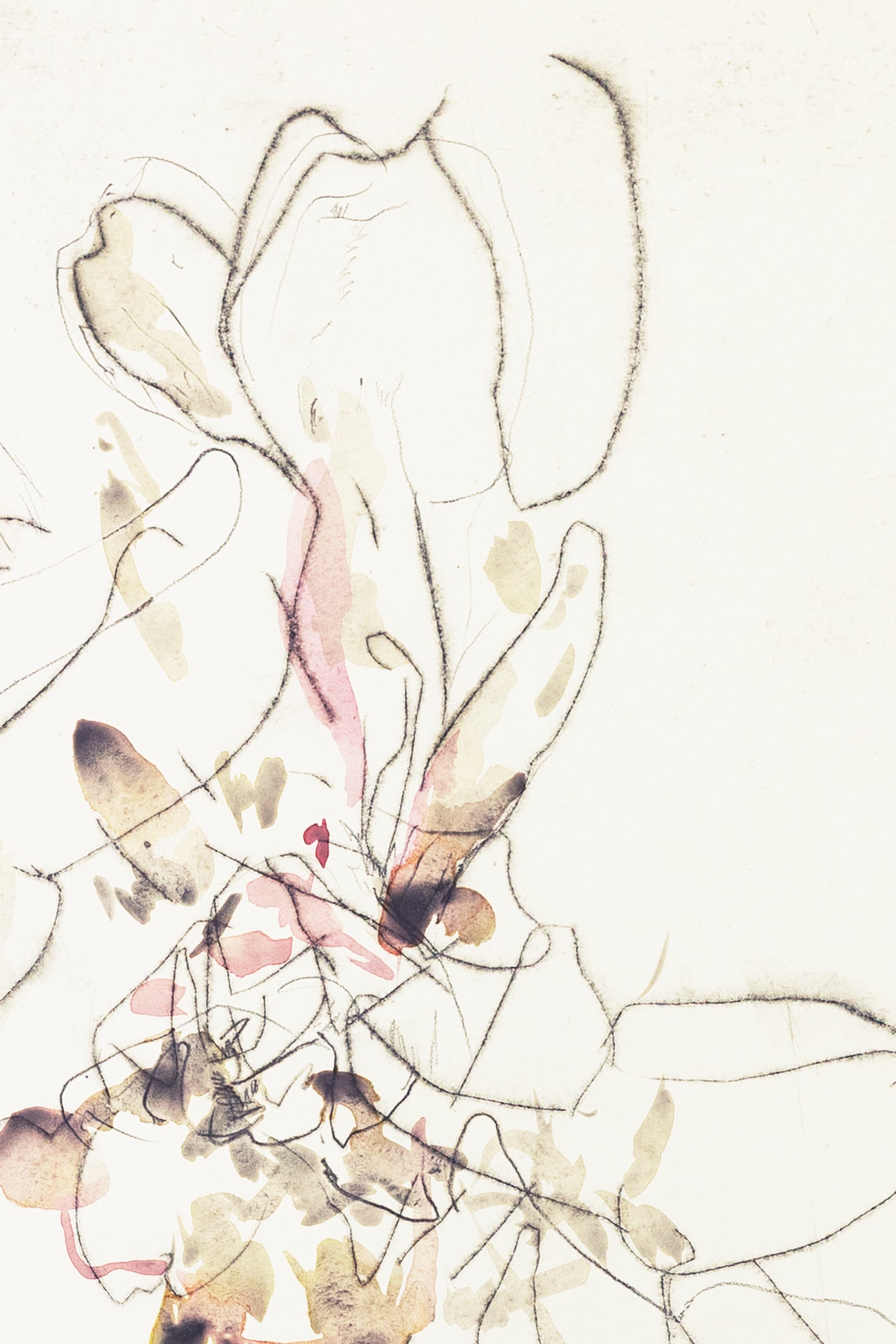 Zarte abstrakte Blumenzeichnung eines Knabenkrauts in Hellrosa, Ocker und Grau auf hellem Hintergrund, kombiniert mit feinen Linien und transparenten Farbschichten – delicate abstract floral drawing of a marsh orchid in light pink, ochre and grey on a bright background, combining fine lines with translucent color layers.