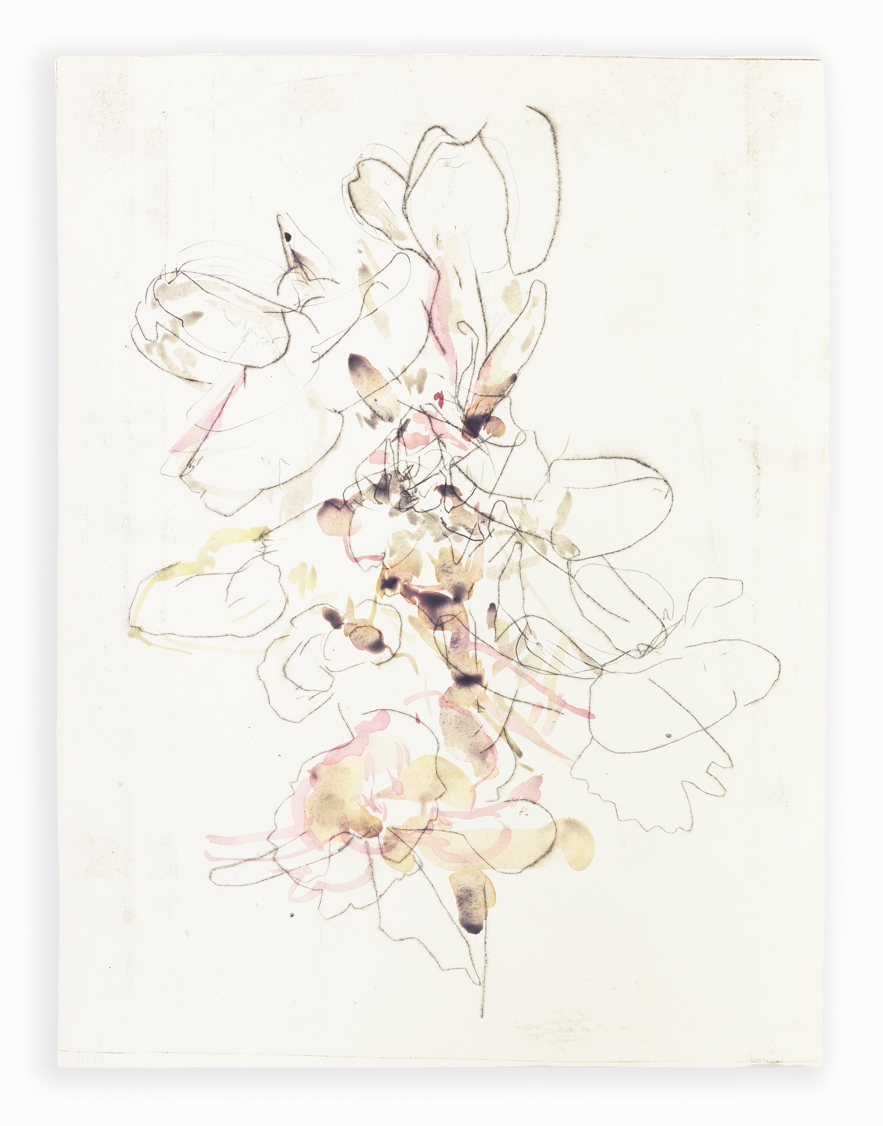 Zarte abstrakte Blumenzeichnung eines Knabenkrauts in Hellrosa, Ocker und Grau auf hellem Hintergrund, kombiniert mit feinen Linien und transparenten Farbschichten – delicate abstract floral drawing of a marsh orchid in light pink, ochre and grey on a bright background, combining fine lines with translucent color layers.