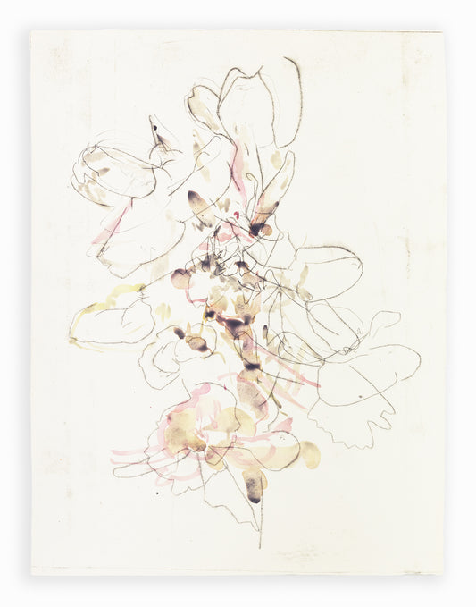 Zarte abstrakte Blumenzeichnung eines Knabenkrauts in Hellrosa, Ocker und Grau auf hellem Hintergrund, kombiniert mit feinen Linien und transparenten Farbschichten – delicate abstract floral drawing of a marsh orchid in light pink, ochre and grey on a bright background, combining fine lines with translucent color layers.