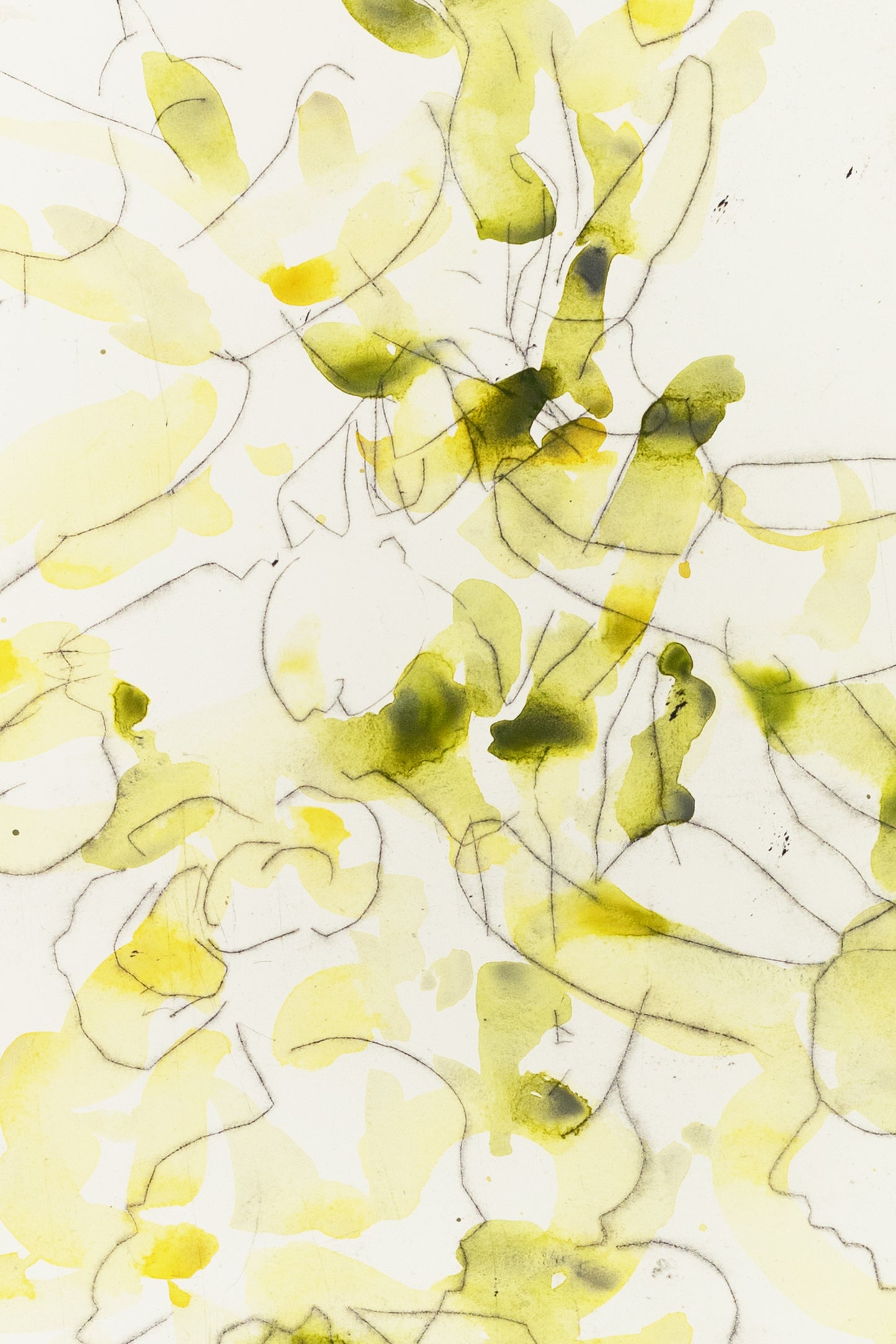 Zarte Pflanzenstudie eines Knabenkrauts in Gelb und Grün mit feinen Linien und transparenten Farbflächen – Delicate plant study of a marsh orchid in yellow and green with fine lines and translucent color layers.